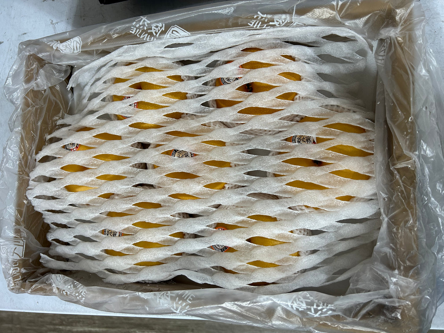 00【CHINA】JAPANESE SEED PREMIUM PEAR