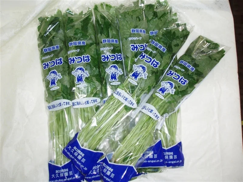 【日本産】三つ葉