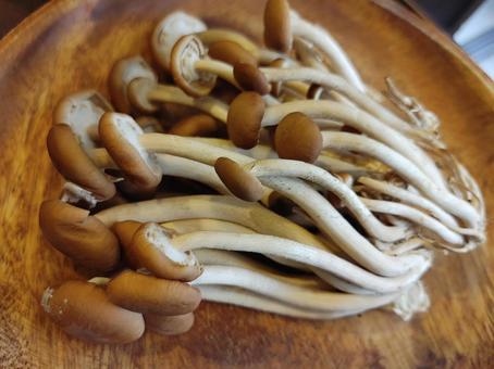 00 NEW 珍味 柳まつたけ 柳松茸 YANEGI MATSUTAKE 1 PACK