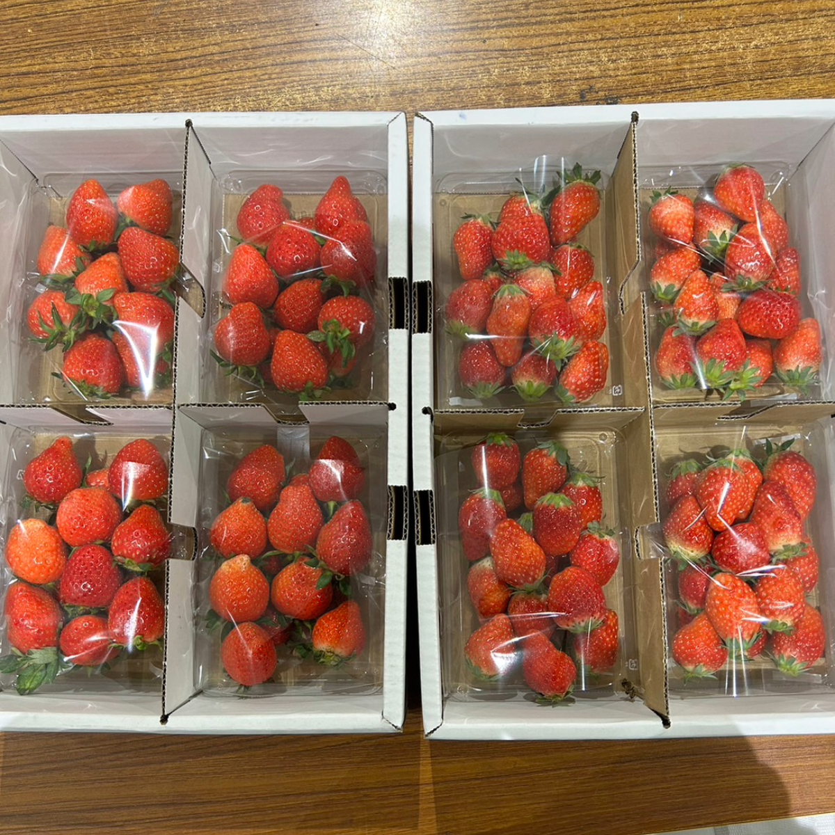 日本イチゴ【訳あり】茨城県産お得なサイズ不揃いいちごミックス 1 BOX (4PACK) SEASON END