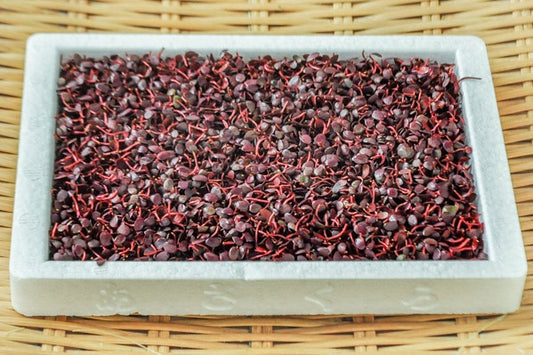 00 【日本産】 芽タデ 紅蓼(ベニタデ)BENITADE 40G