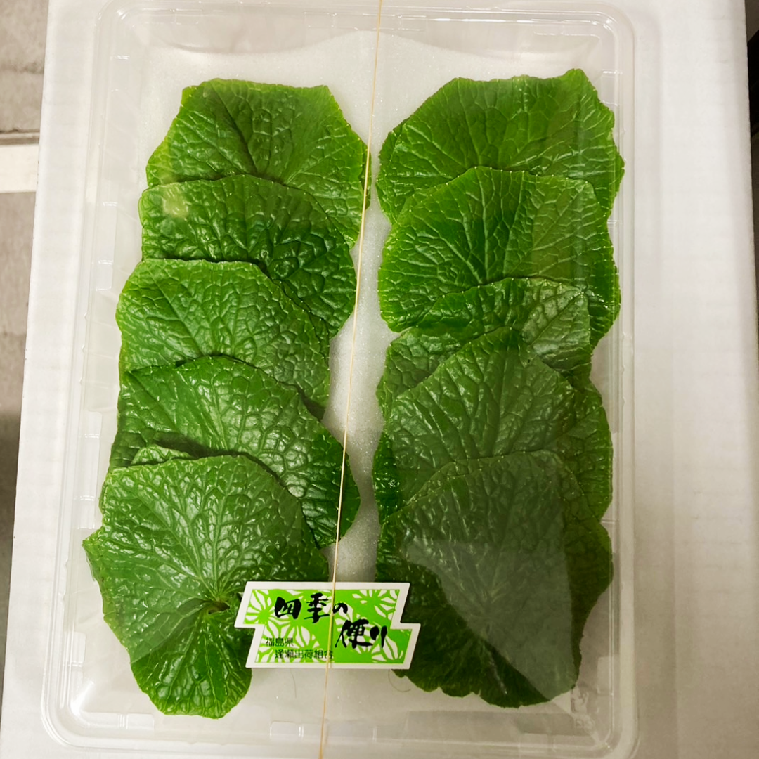【日本産】ワサビの葉 WASABI NO HA 20PC/PACK