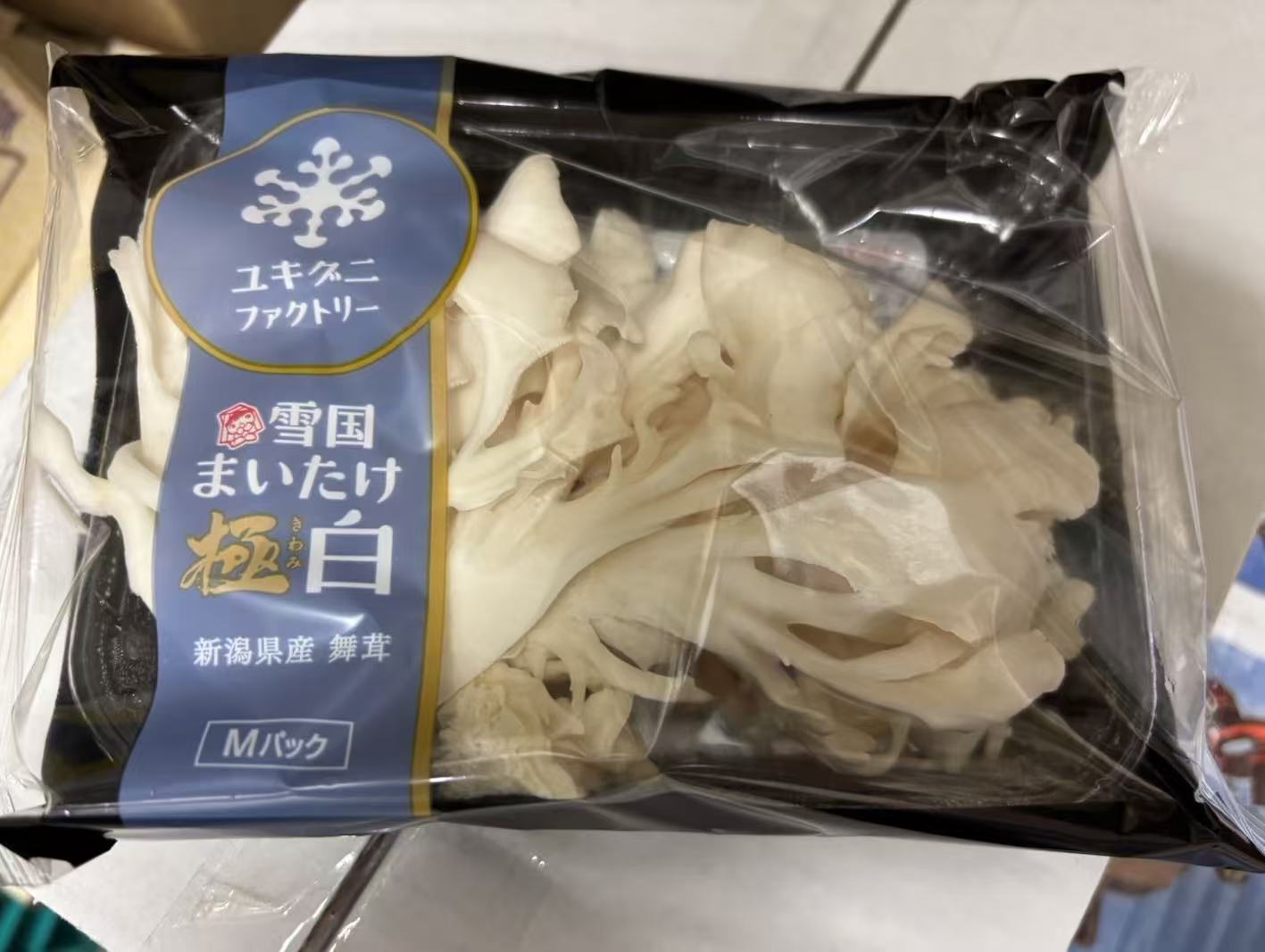 00 NEW 白舞茸 80g