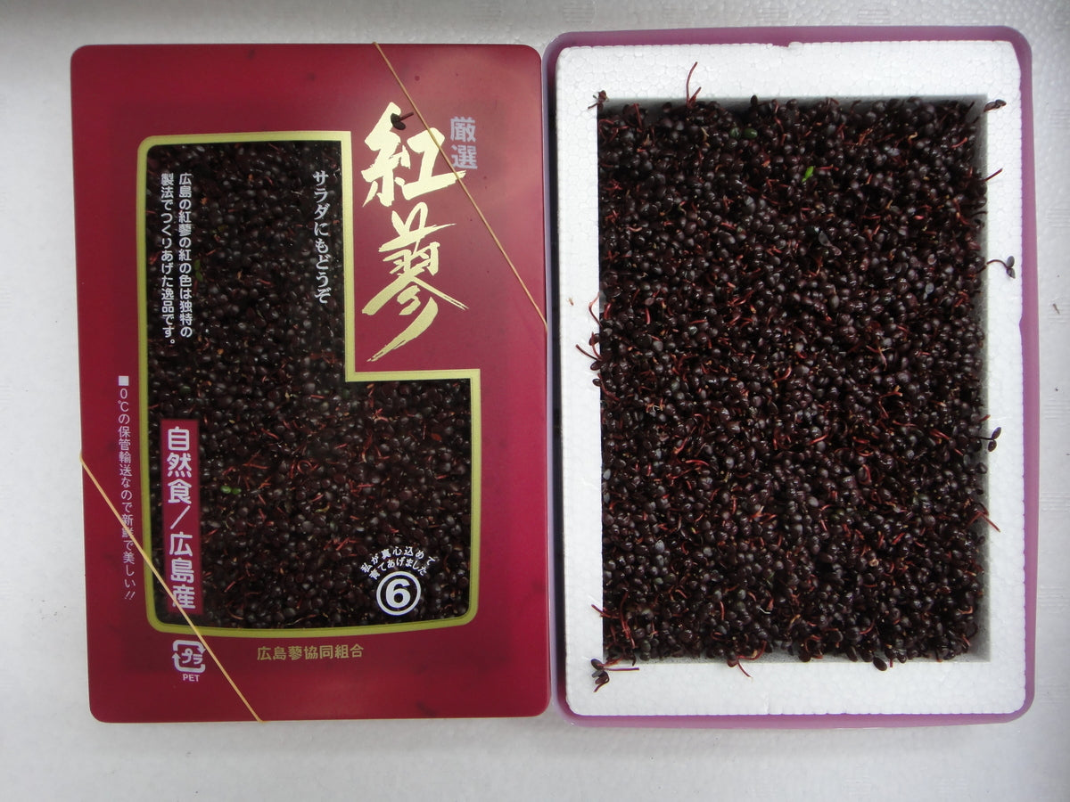 【日本産】 芽タデ 紅蓼(ベニタデ)BENITADE 40G