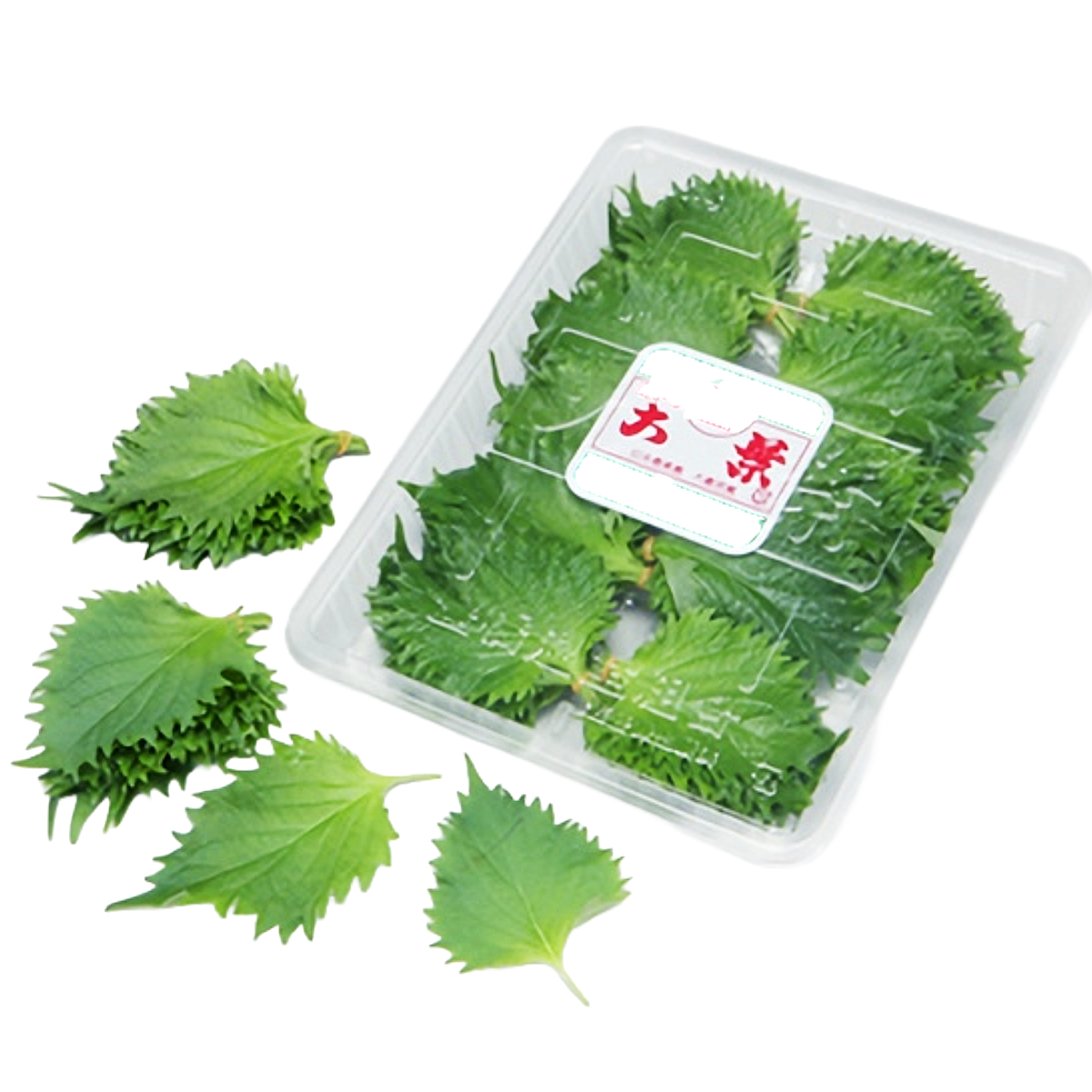 【日本産】大葉 OOBA JAPAN 1 PACK 70G