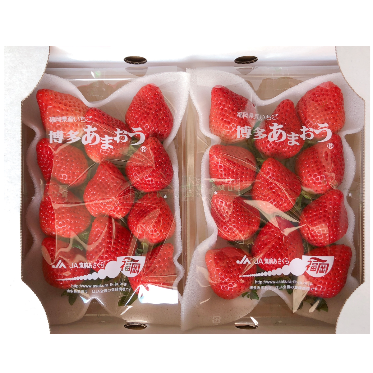 日本イチゴ STRAWBERRY 福岡あまおう AMAO (around 10P) 1 PACK