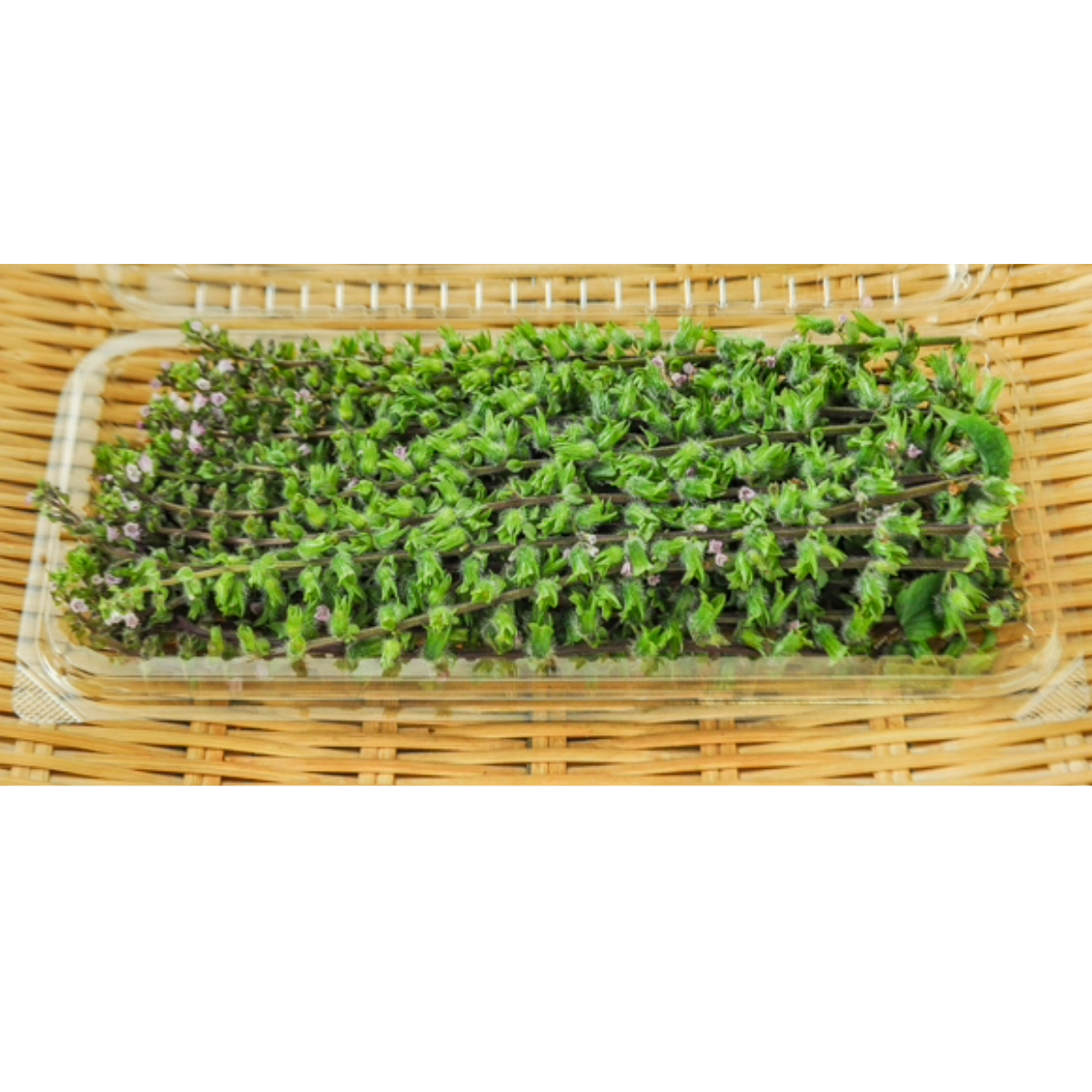 穂紫蘇 HOJISO JAPAN 1 PACK