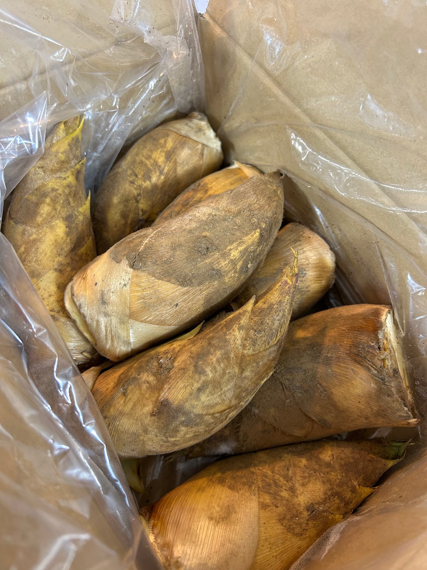 00 NEW 日本産 筍 2kg・ボックス JAPAN FRESH BAMBOO SHOOTS 2KG BOX