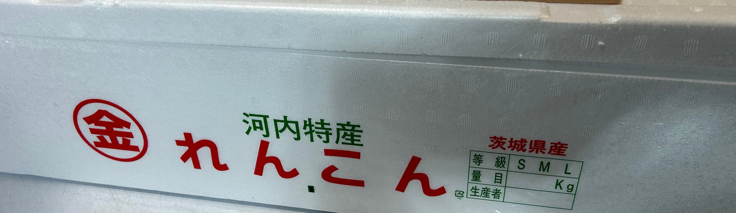 00 NEW 日本産 生れんこん 4kg /ボックス FRESH LOTUS ROOTS 4KG BOX