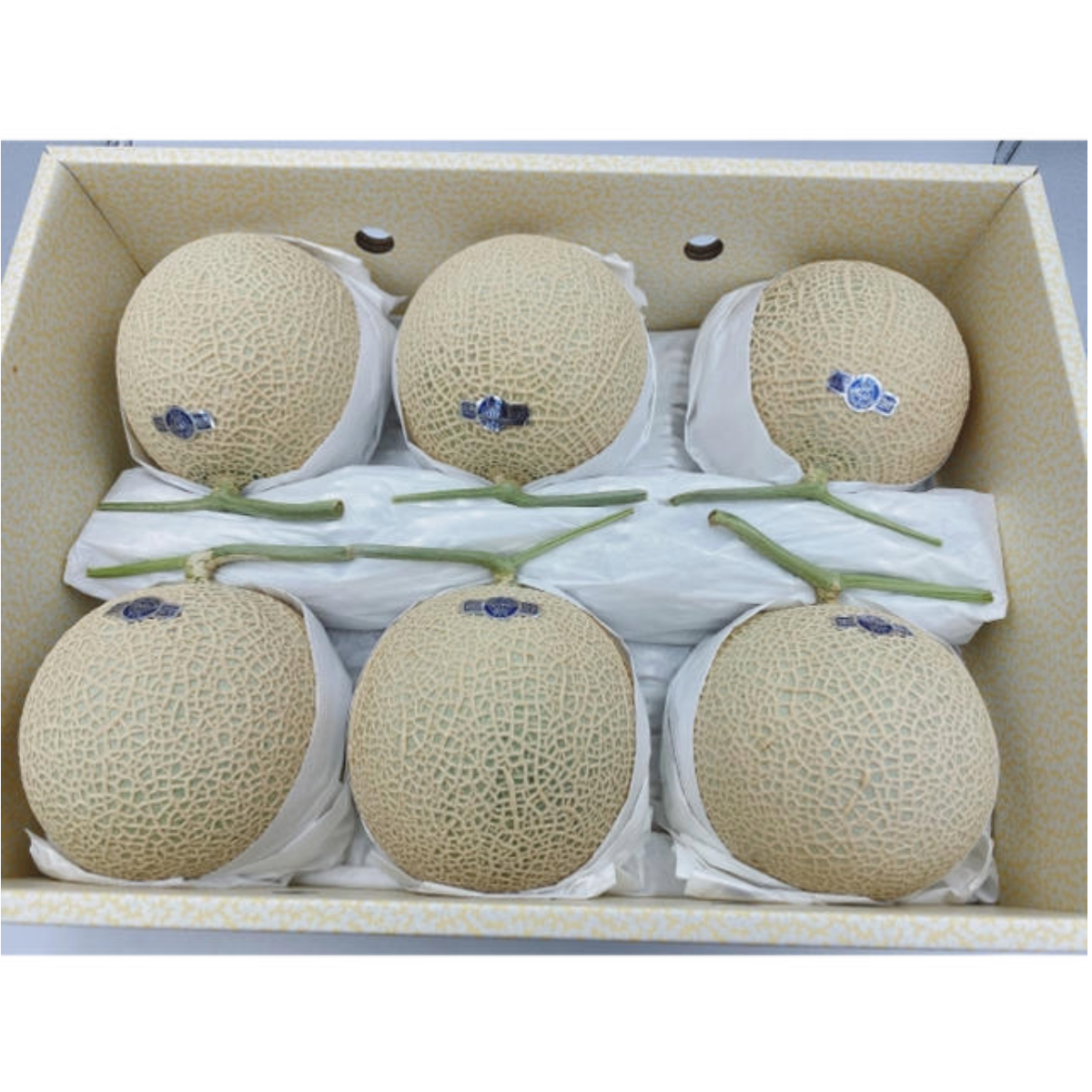 日本 MELON『クラウンメロン』1KG EACH
