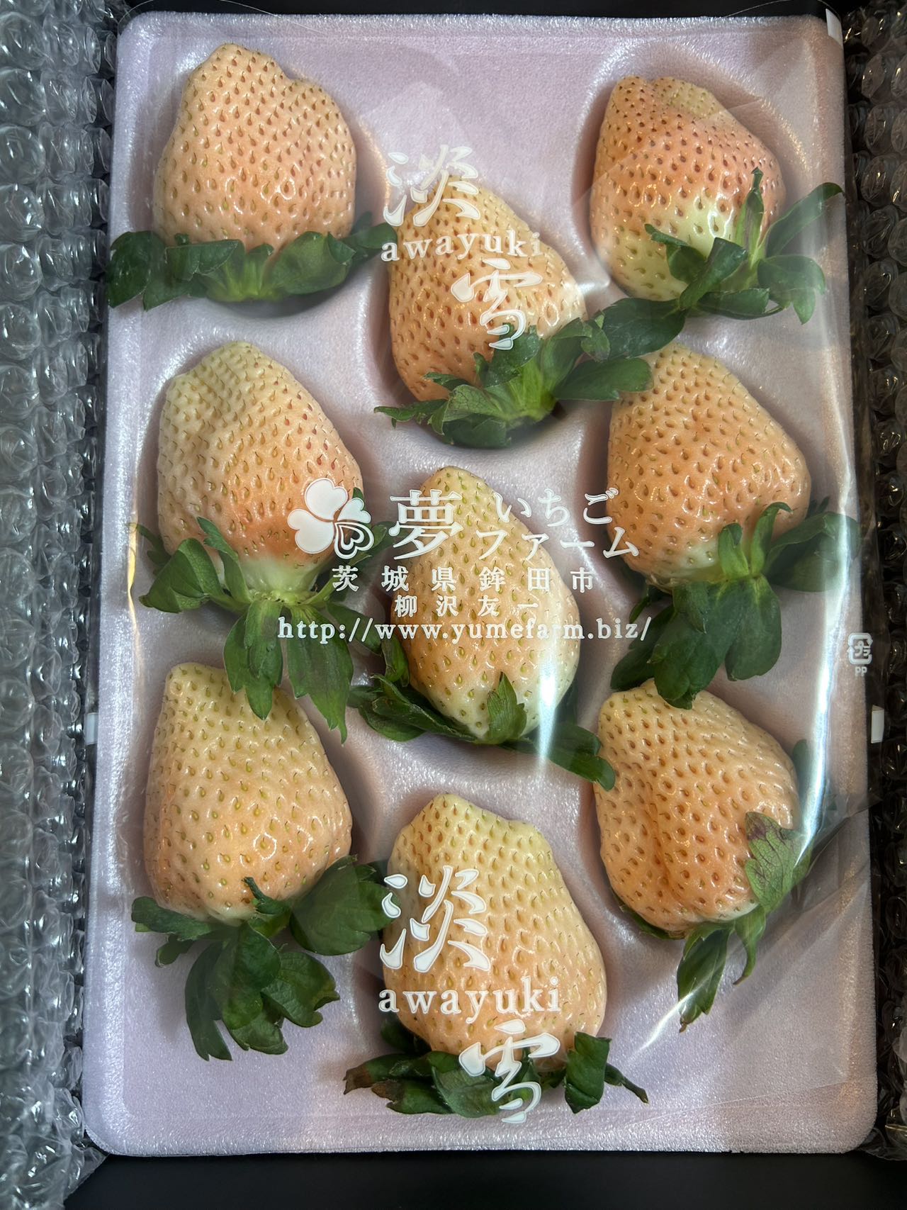 日本イチゴ いちご PINK STRABERRY FROM JAPAN 1 PACK
