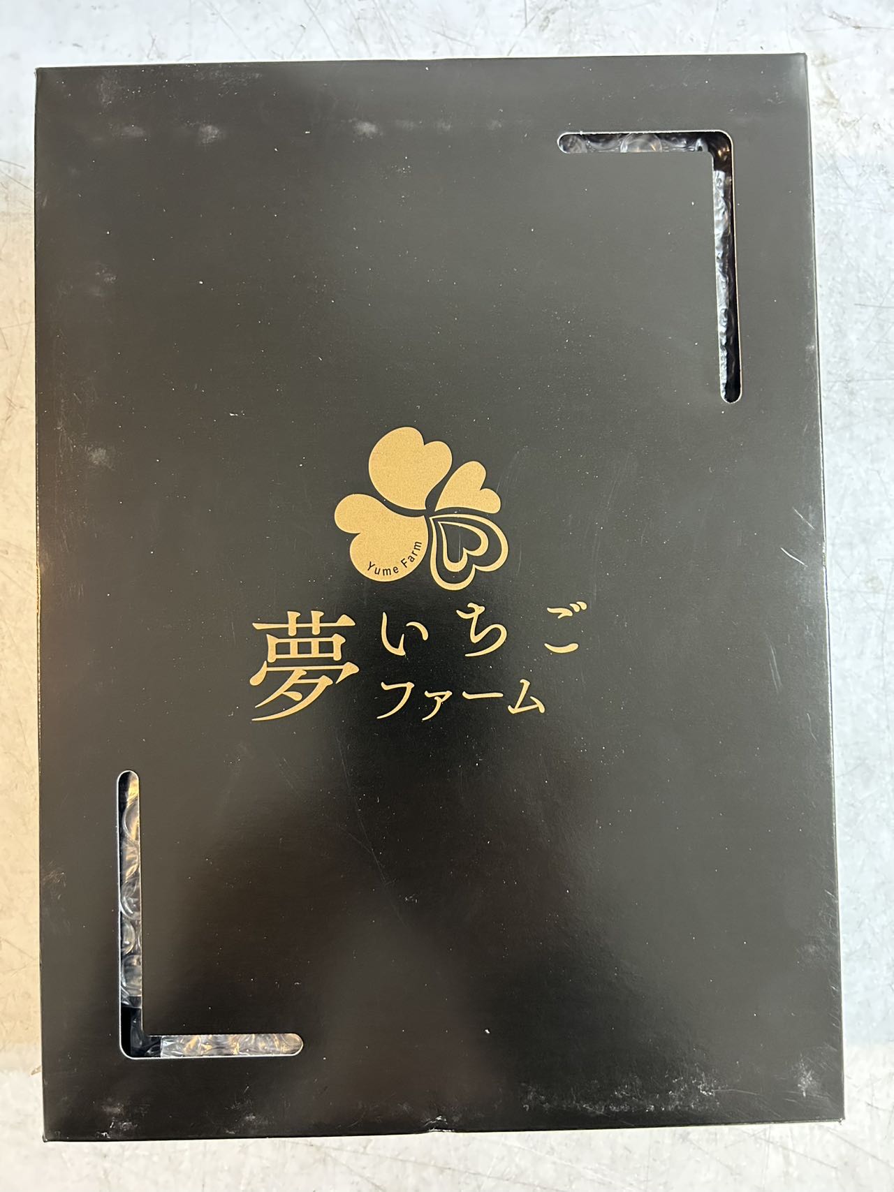 日本イチゴ いちご PINK STRABERRY FROM JAPAN 1 PACK