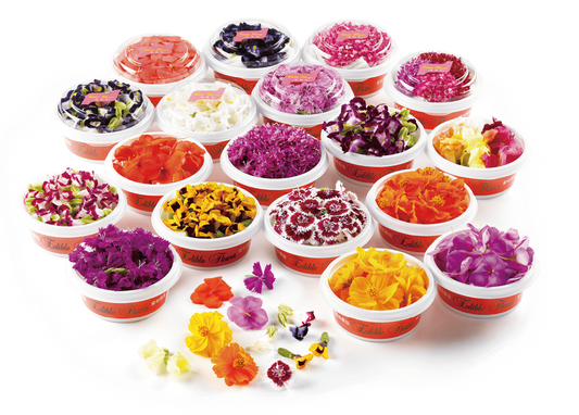 00 NEW EDIBLE FLOWERS エディブルフラワー(白)(アリッサム)80G