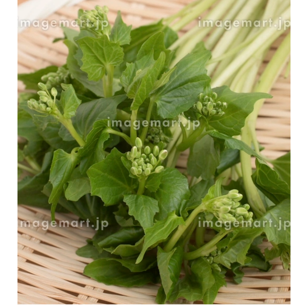 花ワサビ 100g PACK (Per-order only 10 days lead time)