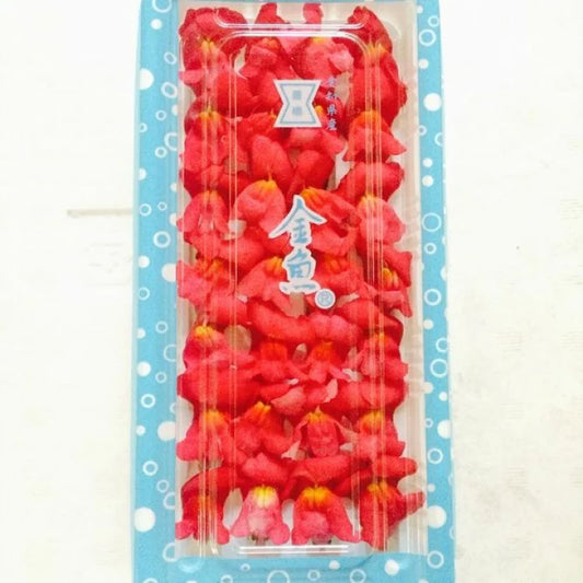 00  NEW 金魚草 赤 KINGYOSO RED 1 pack Edible Flowers