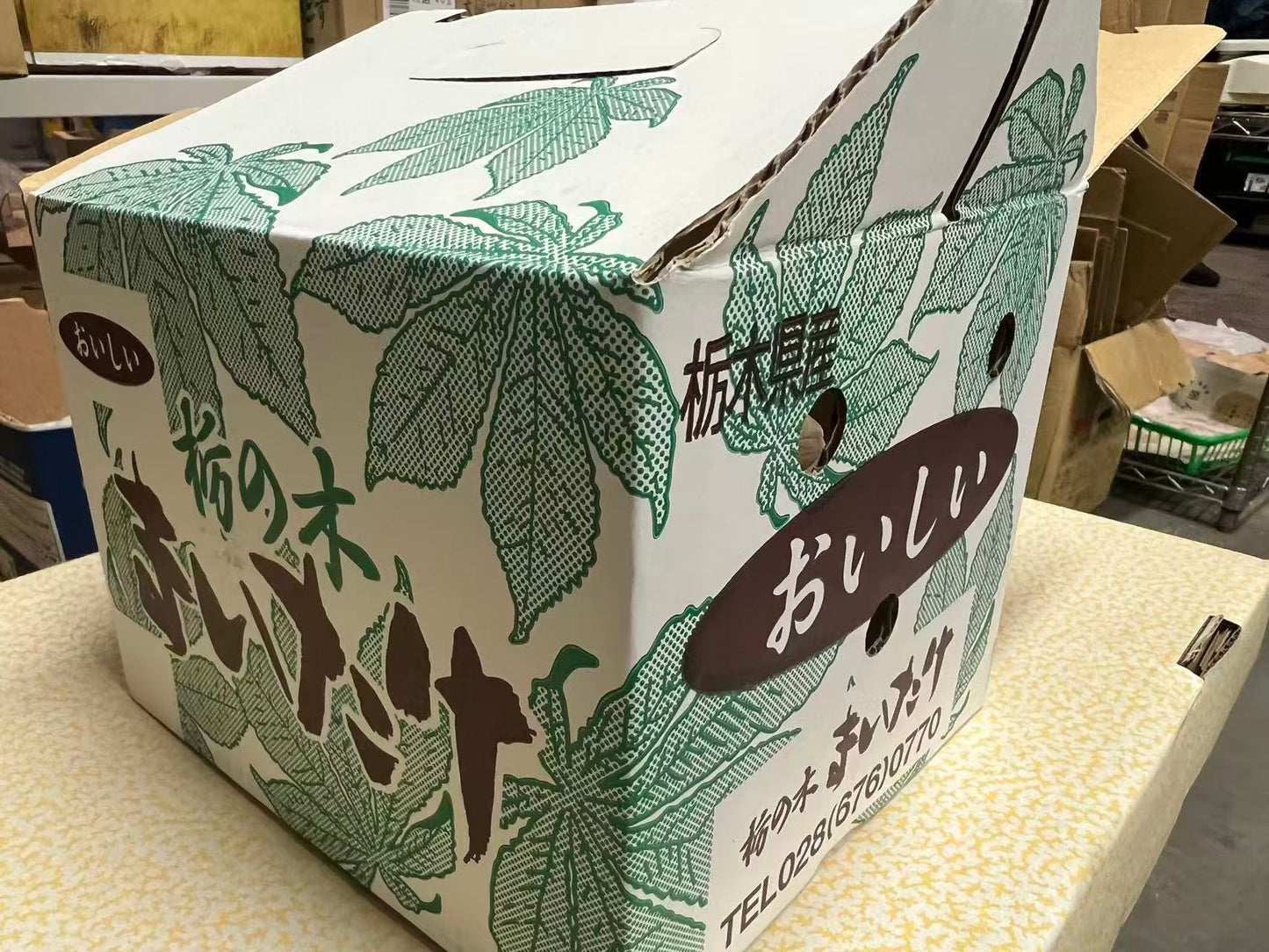 00 【JAPAN】 ORGANIC EXTRA LARGE MAITAKE MUSHROOM 舞茸 450G/ BOX