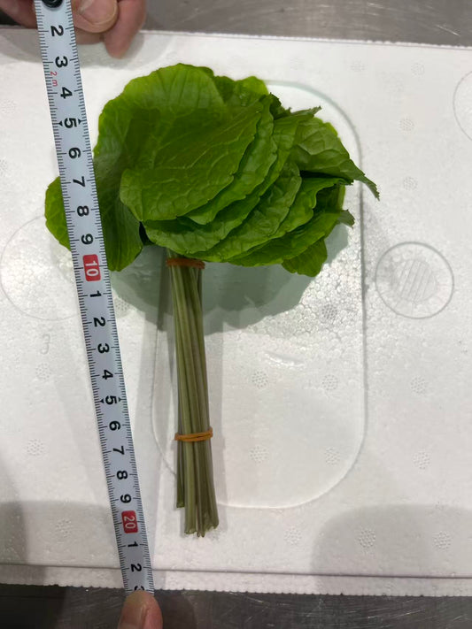 00【日本産】ワサビの葉 WASABI NO HA  10PC/BUNCH