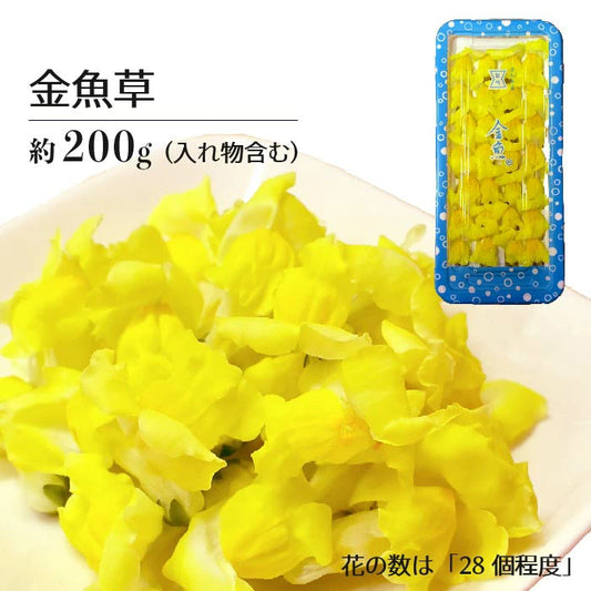00  NEW 金魚草 黄 KINGYOSO YELLOW 1 pack Edible Flowers