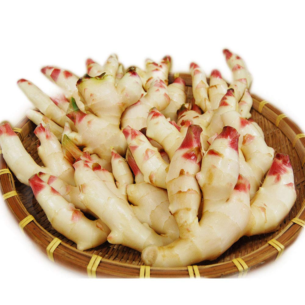 00 NEW 日本産 新生姜１LB NEW GINGER