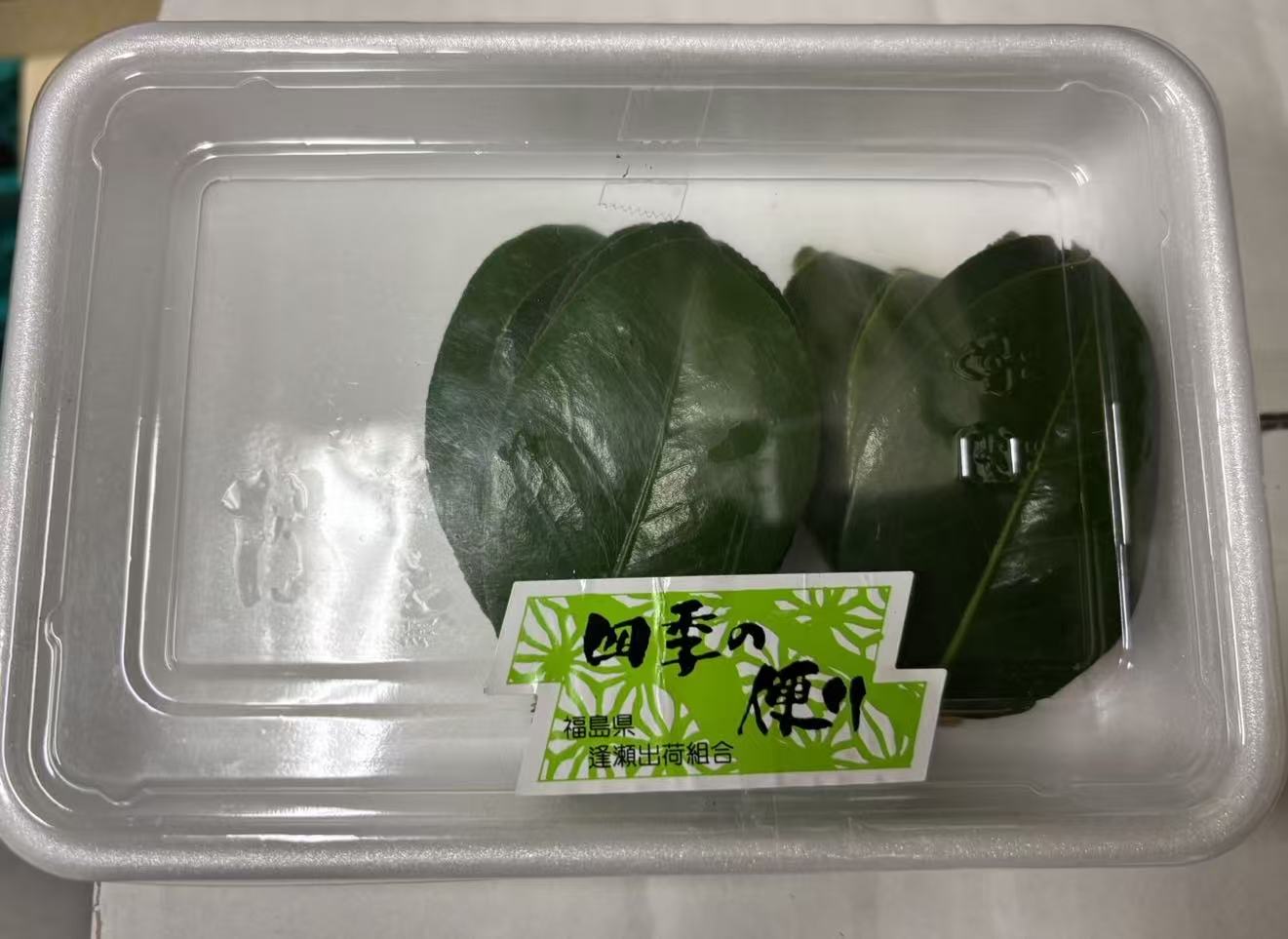 00 NEW  椿つばきの葉 50g