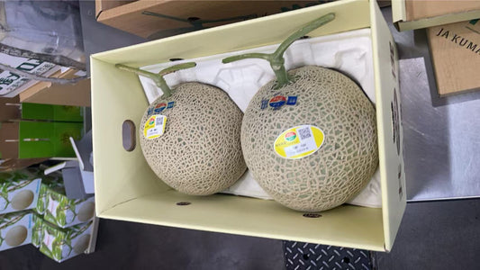 00 日本 格安メロン KING SIZE(1.7kg each) melon