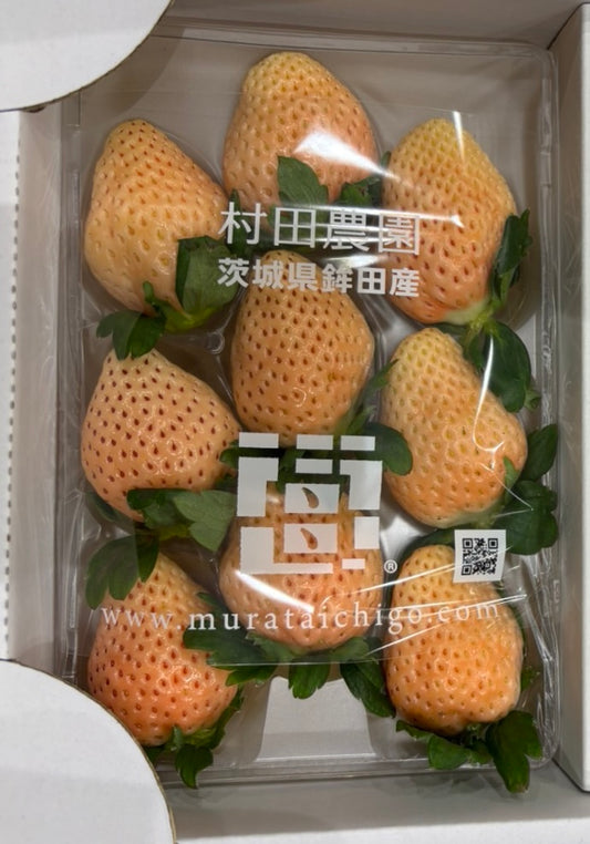 0 日本イチゴ いちごSTRAWBERRY PINK 茨城村田農園　ピンク　DX 1 PACK