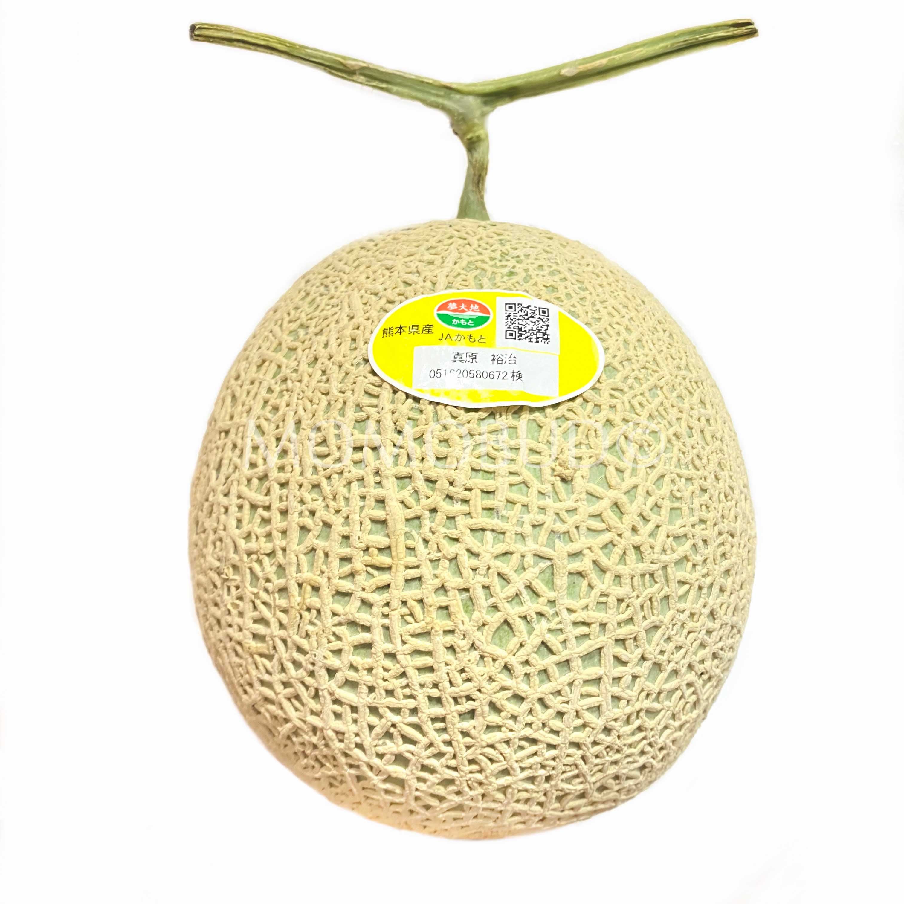 0 日本 熊本メロン (1.2-1.5kg each) Kumamoto melon – SANKAIDO WHOLESALE