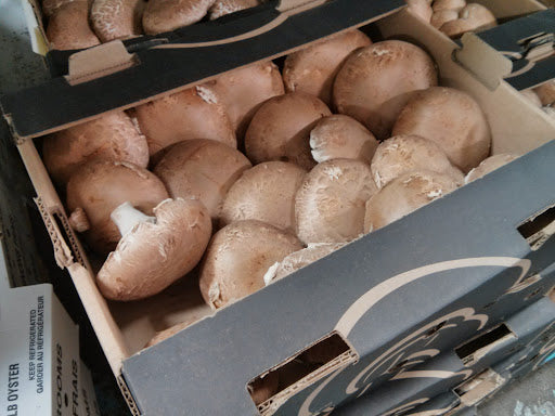 00【NEW】【USA】  PORTOBELLO MUSHROOM- 5 LB/BOX