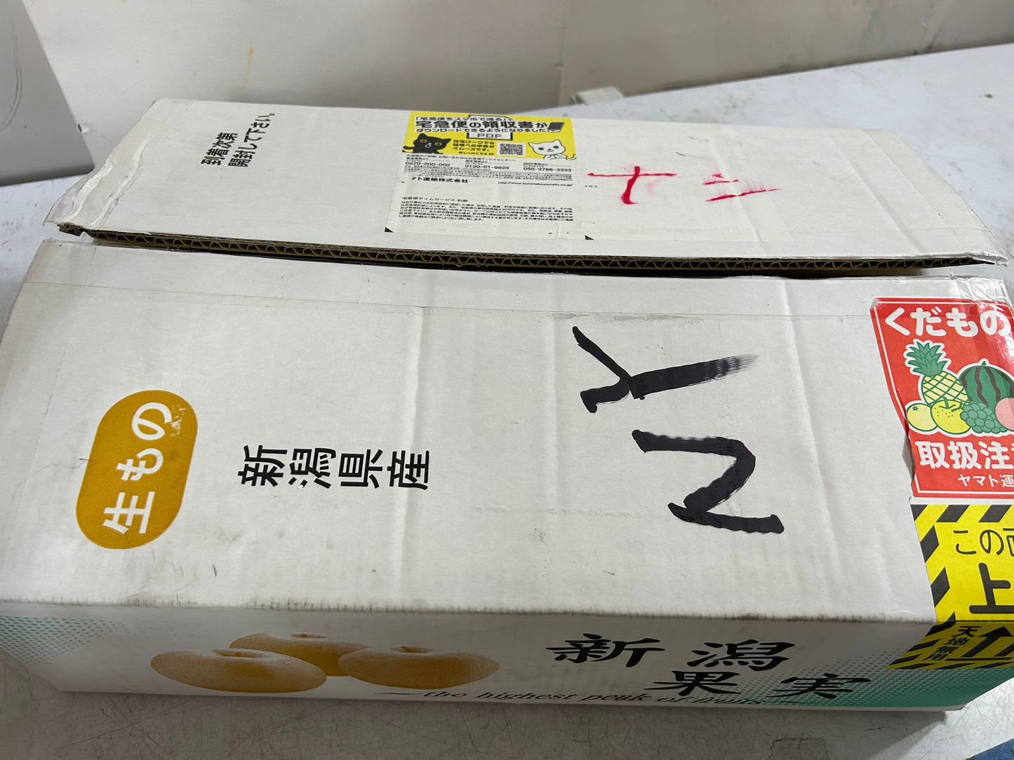 00【NEW】【JAPAN】JAPANESE PREMIUM PEAR 7p-12P/BOX