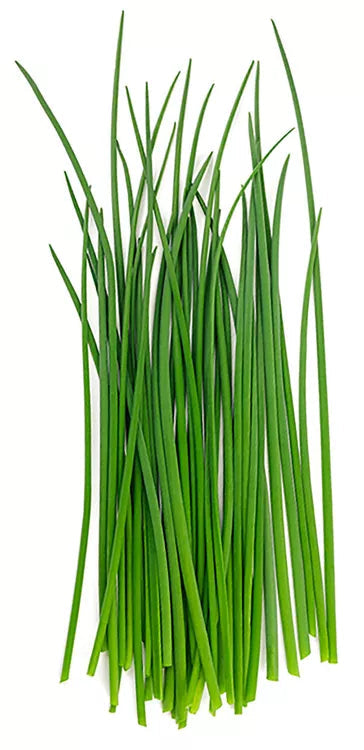 CHIVE 1LB
