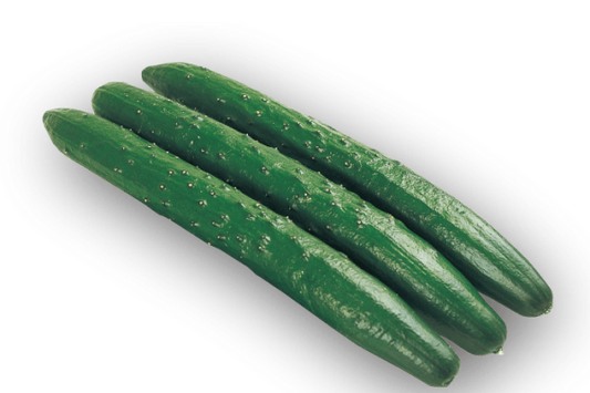 00  NEW キュウリ CUCUMER  (JAPANESE SEED) GROW IN LA