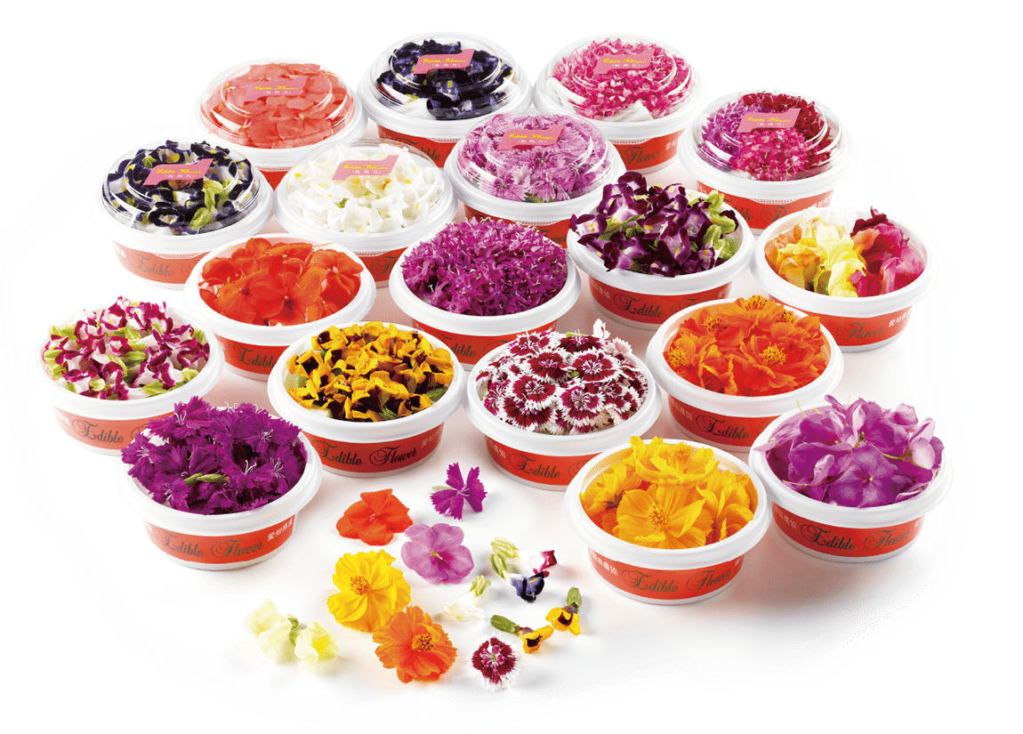 00 NEW EDIBLE FLOWERS エディブルフラワー（白）（アリッサム）80G