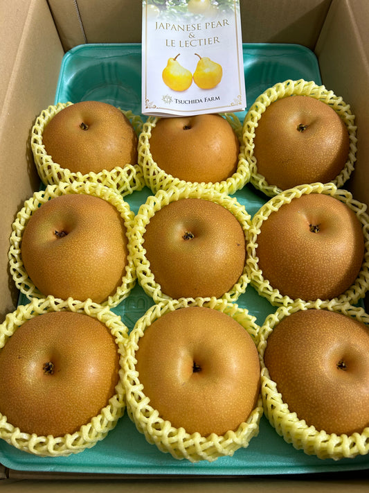 00【NEW】【JAPAN】JAPANESE PREMIUM PEAR 12P/BOX