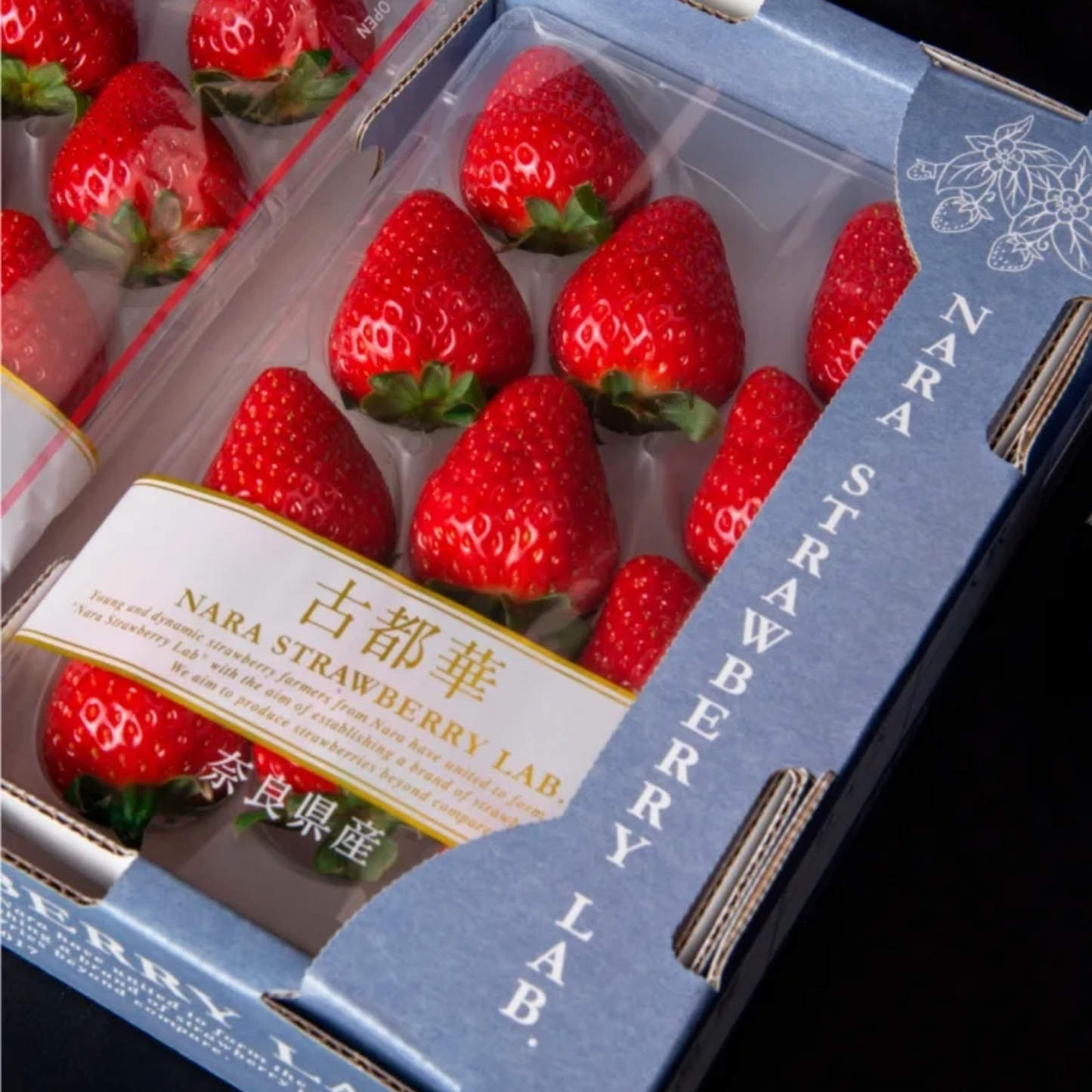 古都華 奈良県 極上いちご JAPANESE STRAWBERRY x 1 PACK