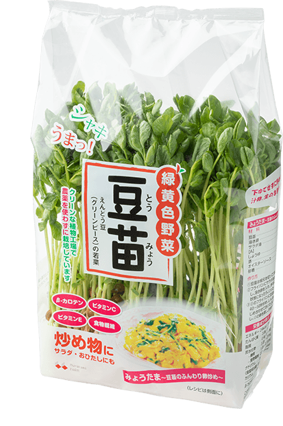 00 NEW MICRO HERBS 豆苗(とうみょう) SOYBEAN SPOURT