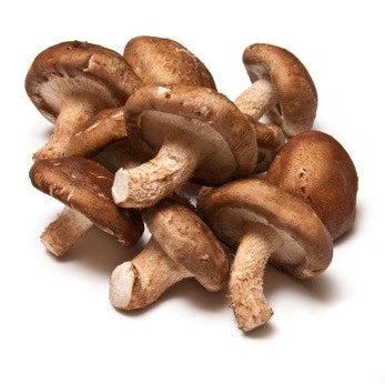 00【NEW】【USA】  SHIITAKE MUSHROOM-3 LB/BOX